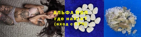прущие грибы Каменка
