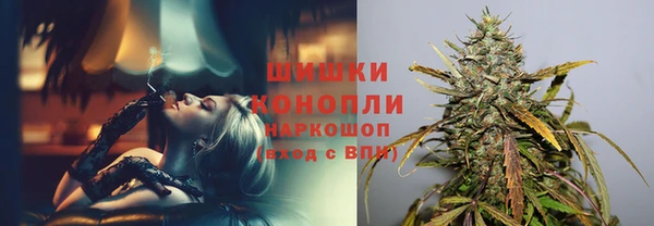 прущие грибы Каменка