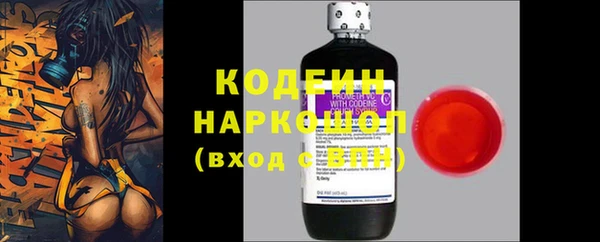 прущие грибы Каменка