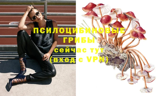 наркотики Каменногорск