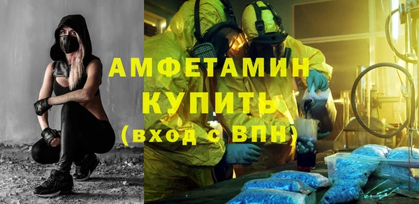 прущие грибы Каменка
