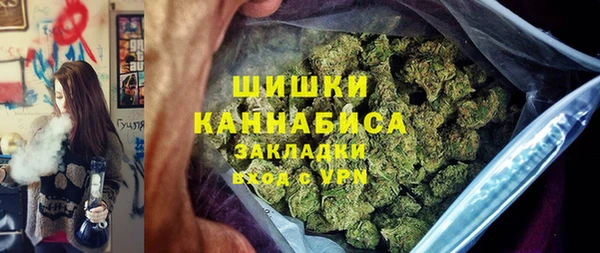 прущие грибы Каменка