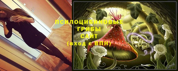 синтетический гашиш Каменск-Шахтинский