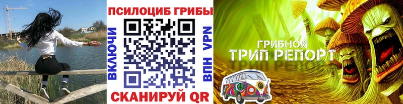 Псилоцибиновые грибы Psilocybe  Купить  Зима 